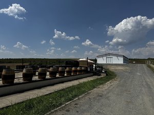 Crama Petrovaselo 2